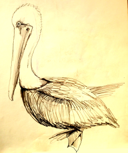 An amazing bird is the pelican, its beak can hold more than its belly can, it can hold in its beak enough food for a week, I don't know how the hell he can